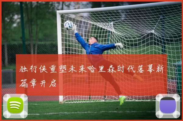 独行侠重塑未来哈里森时代落幕新篇章开启