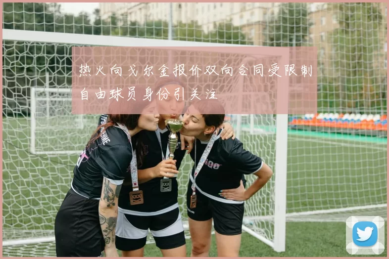 热火向戈尔金报价双向合同受限制自由球员身份引关注